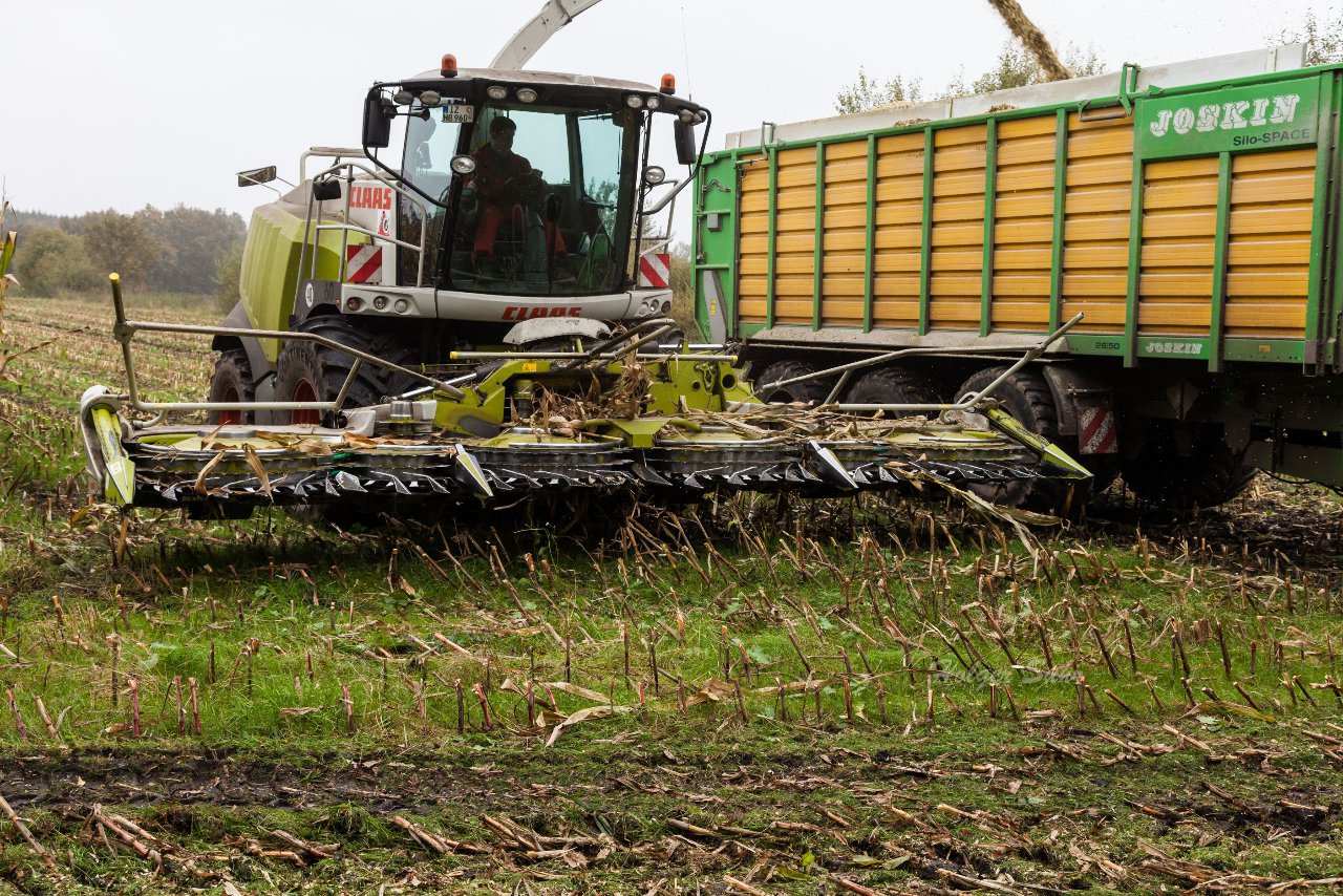 Bild 139 - Biogas am 21.10.12